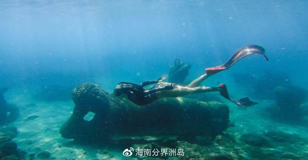 这些爬树的是什么藤来的？